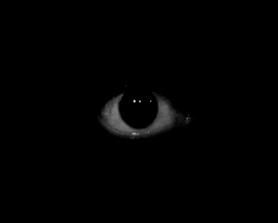bob eyes